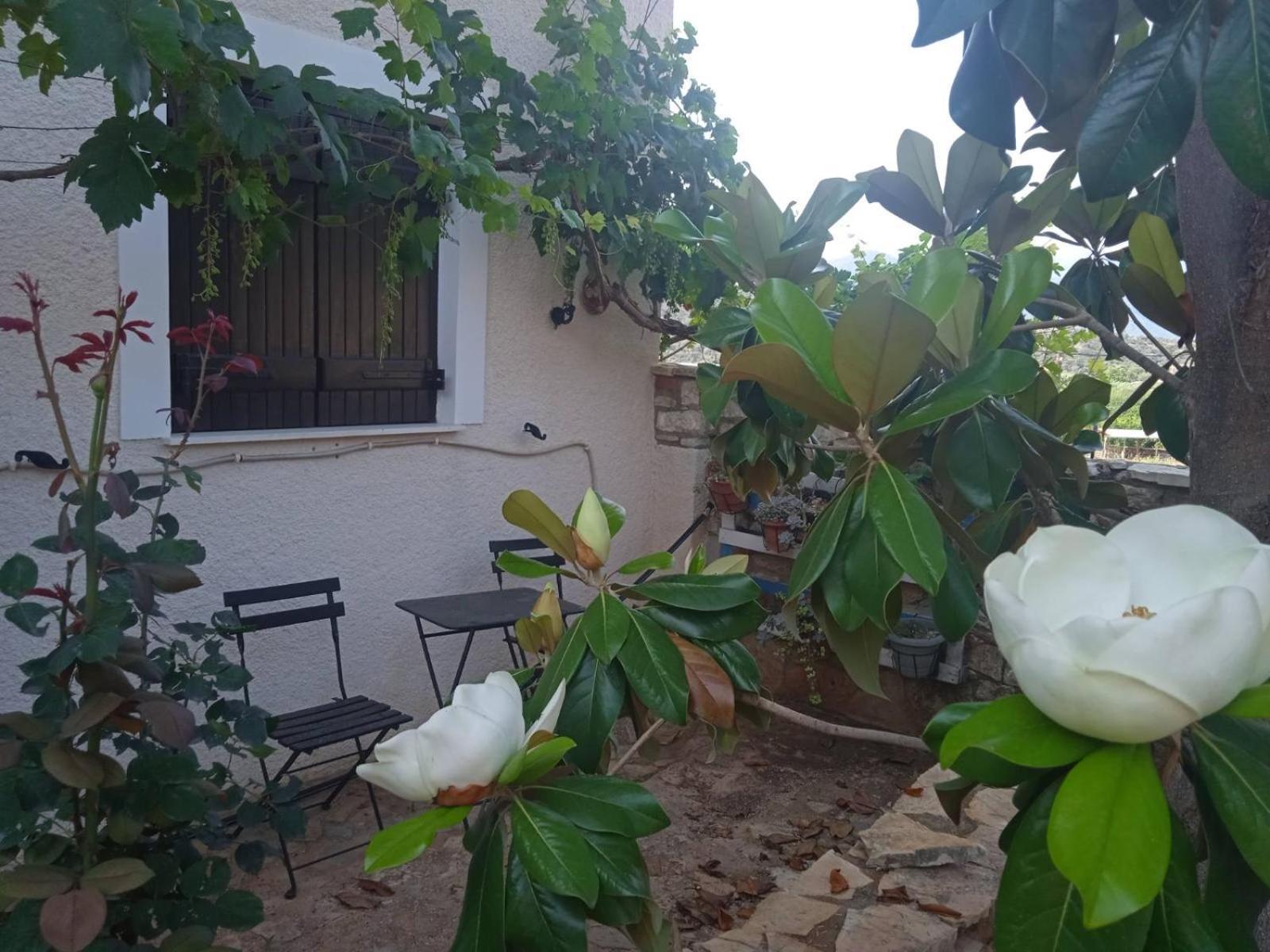 Pontinos Villa Míloi Dış mekan fotoğraf