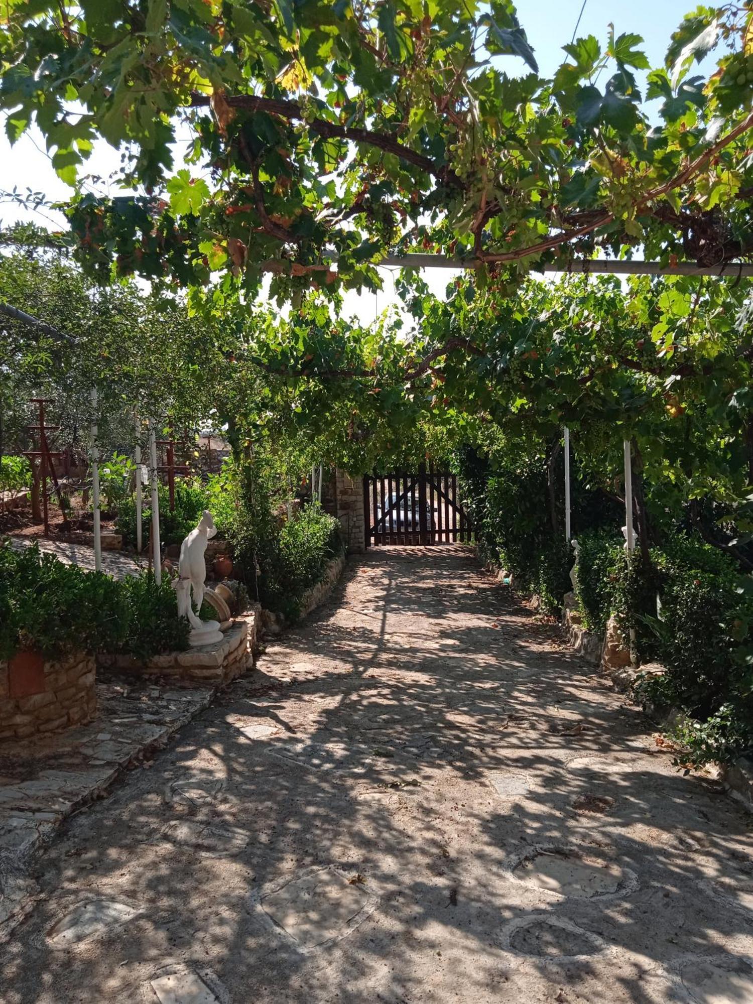 Pontinos Villa Míloi Dış mekan fotoğraf
