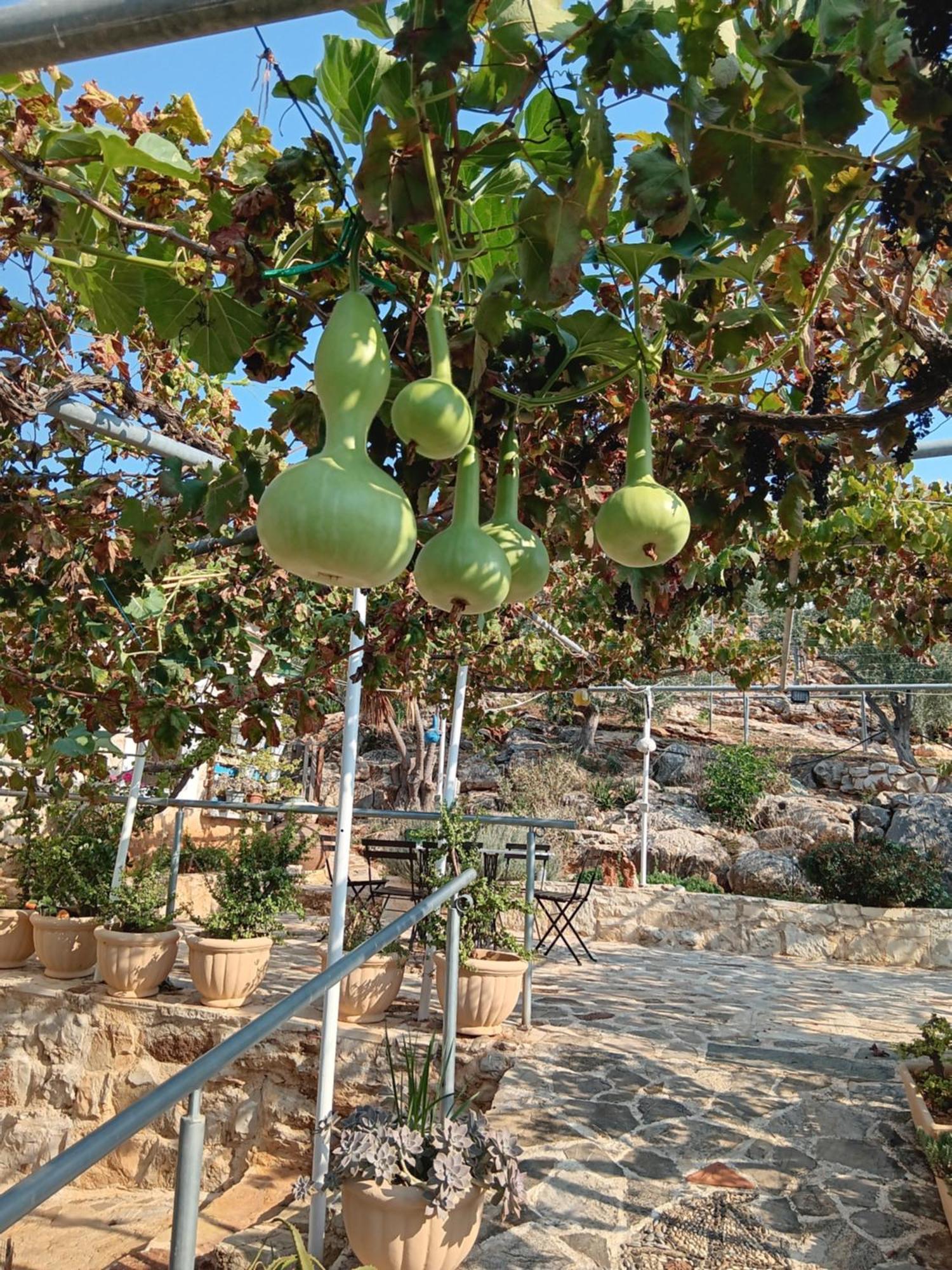 Pontinos Villa Míloi Dış mekan fotoğraf