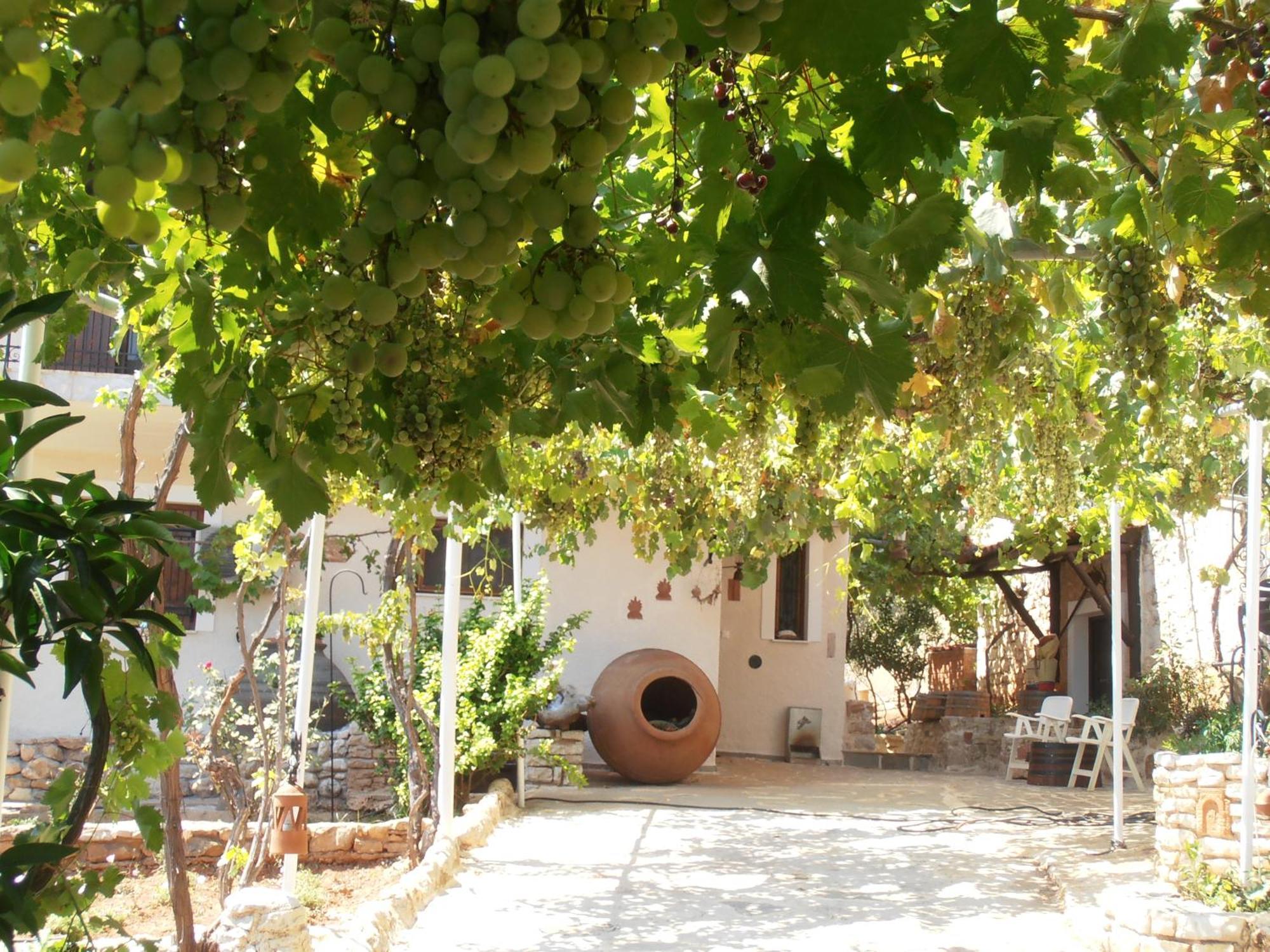 Pontinos Villa Míloi Dış mekan fotoğraf